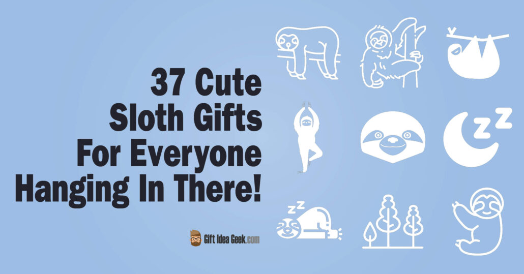 Cute Sloth Gifts - Featured Image
