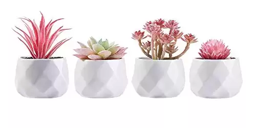 CADNLY Small Fake Desk Plant – Pink Desk Decor for Women - Artificial Succulent Plants - Faux Succulents in White Ceramic Pots – Mini Pink Succulent Decor for Bedroom Bathroom Bookshelf Office