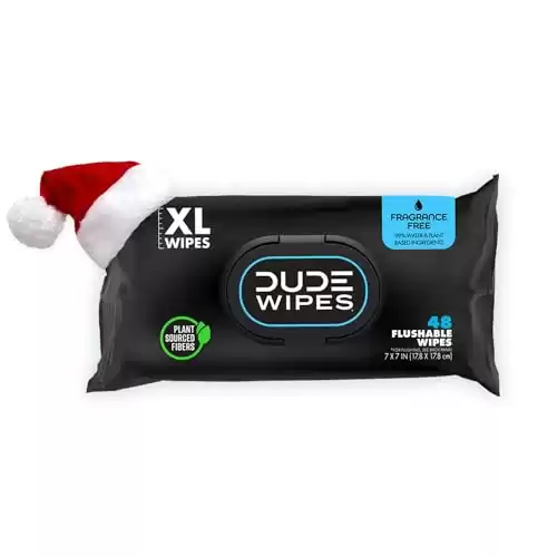 DUDE Wipes - Flushable Wipes Stocking Stuffers - 1 Pack, 48 Wipes - Unscented Extra-Large Adult Wet Wipes - Vitamin-E & Aloe for at-Home Use - Septic and Sewer Safe