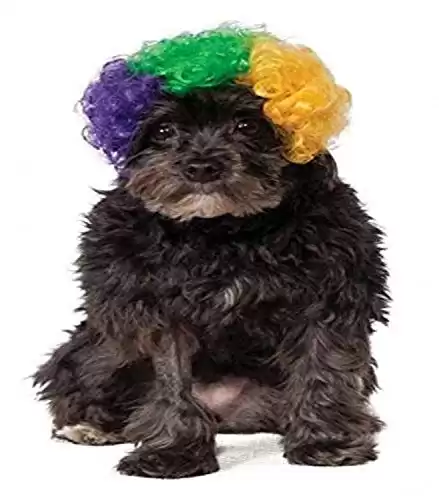 Rubie's Mardi Gras Afro Pet Wig, Medium/Large, Multicolor