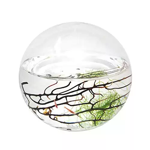 Ecosphere Small Sphere