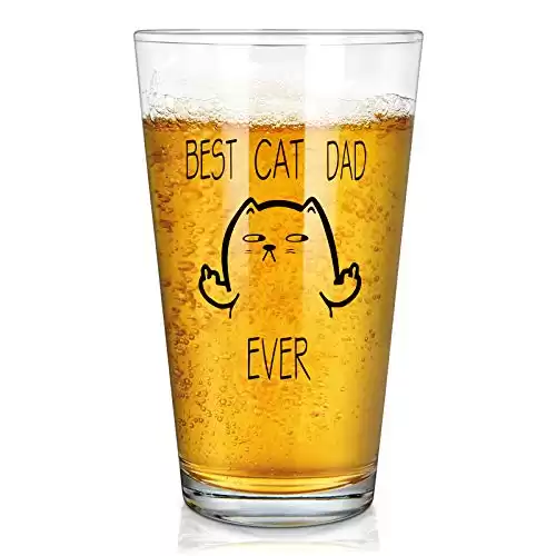 Modwnfy Dad Beer Glass - Best Cat Dad Beer Pint Glass, Funny Dad Beer Glass for Men Father Dad New Dad Husband Friend Cat Lover, Idea for Christmas Father’s Day Birthday Retirement Party, 15 Oz