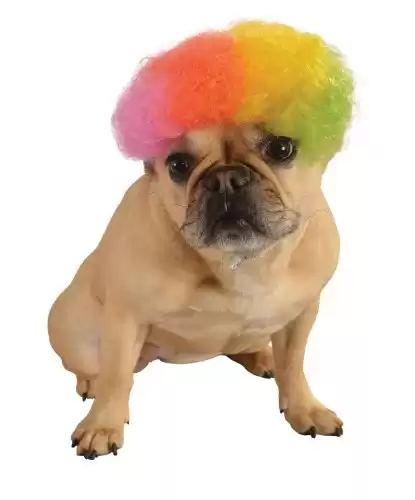 Rubie's Wig for Pets, Medium to Large, Rainbow Afro