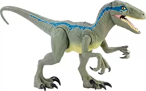 Mattel Jurassic World Large Dinosaur Toy, Super Colossal Velociraptor Blue Action Figure 3.5 Feet Long with Eating Feature, Toy for Kids (Amazon Exclusive)