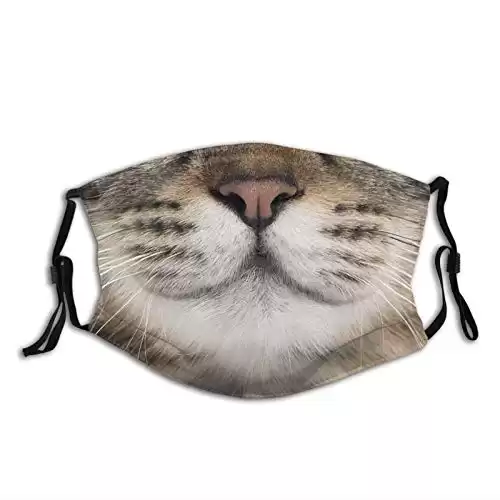Funny Smile Cute Cat Cloth Face Mask With Filter Pocket Washable Face Bandanas Balaclava Comfortable Print Reusable Fabric Mask With 2 Pcs Filters