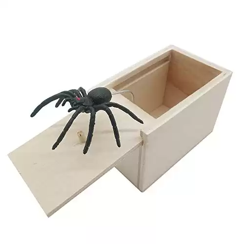 Jumping Spider Wooden Surprise Box