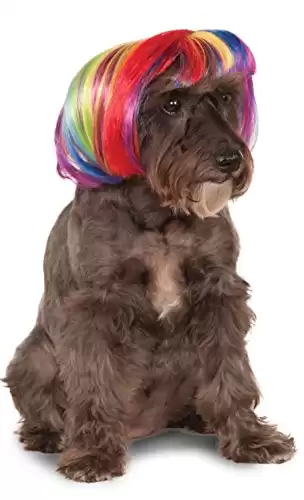 Rainbow Bob Wig for Pet, Medium/Large