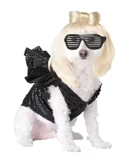 Pup-A-Razzi womens POP SENSATION Dog Costumes, Black, Large US