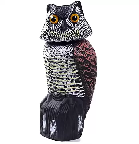 Decoy Owl for Scaring Away Birds With Rotating Head