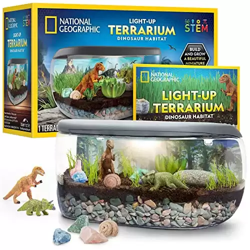 National Geographic Light Up Terrarium Kit
