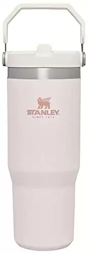 Stainless Steel Stanley with Straw