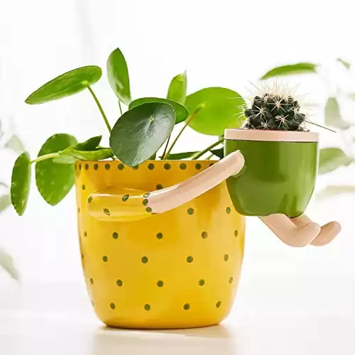 Quirky Plant Pot