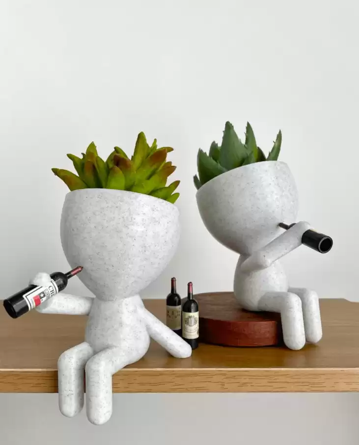 Succulent Wine Buddies