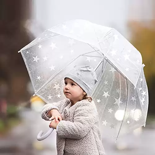 Transparent Umbrella